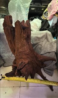 （分類：）位於 。 由 chunchun53 提交（商品編號 1232818208，圖片 1）。簡介： 。