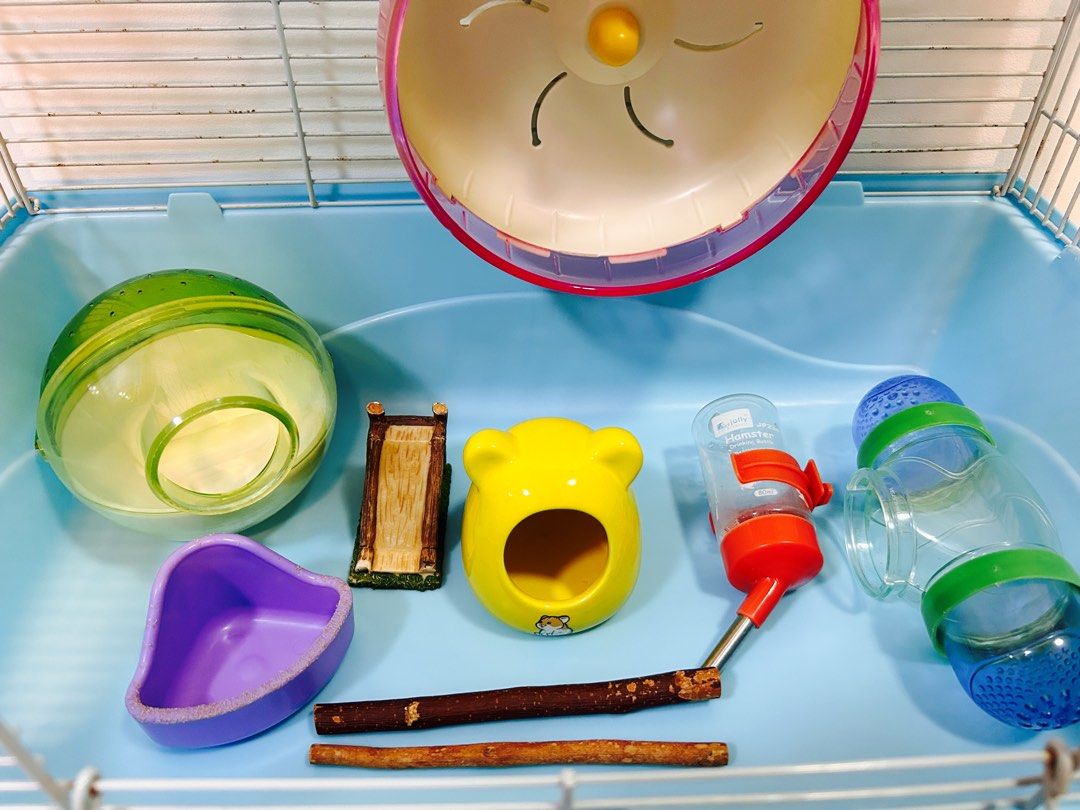 Hamster starter pack sales