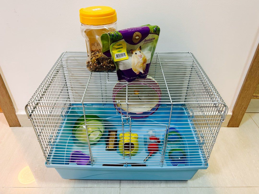 Hamster sale starter pack