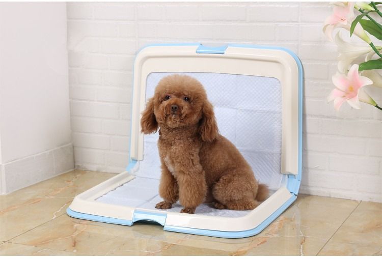 IRIS L型狗廁所(64x44.5x9.6cm) 藍色FT-940, 寵物用品, 寵物家品及其他- Carousell