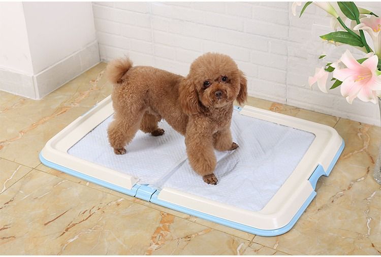 IRIS L型狗廁所(64x44.5x9.6cm) 藍色FT-940, 寵物用品, 寵物家品及其他- Carousell
