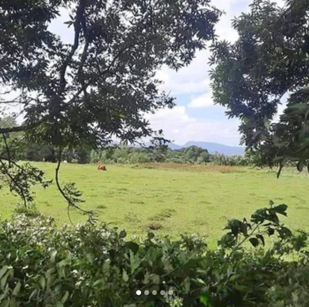 Lot For Sale Amadeo, Cavite, Property, For Sale, Lot on Carousell