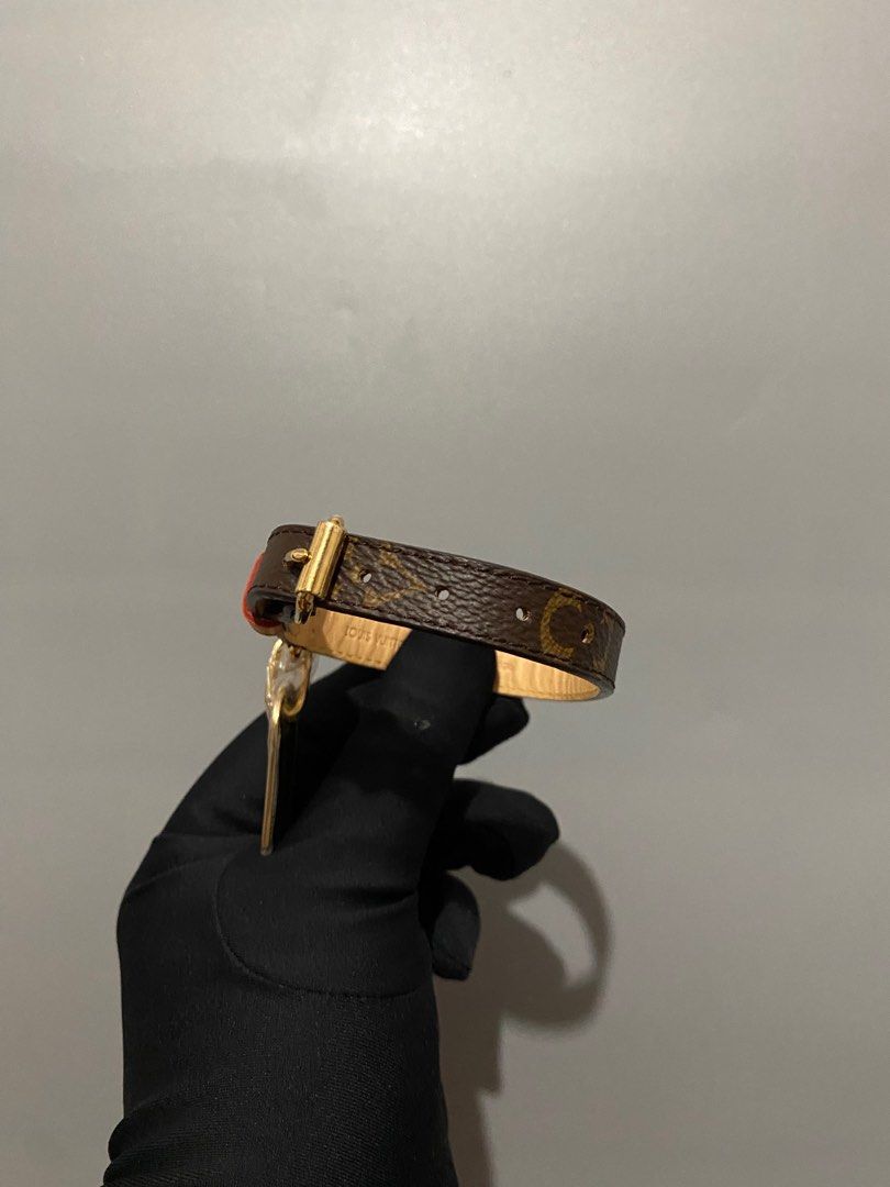 LOUIS VUITTON LV PET COLLAR Luxury Accessories on Carousell