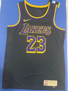 Nike Los Angeles Lakers LeBron James Royal Hardwood Classic Swingman Jersey  Med