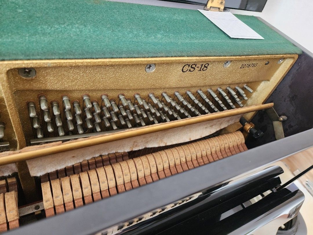 Kawai cs top