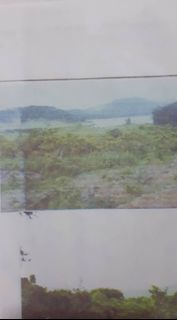 Palawan Lot For Sale (Beach Front)
