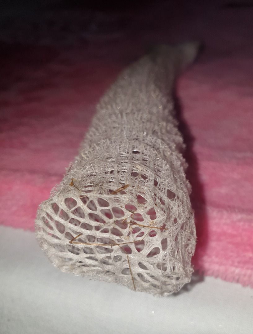 Rare VENUS FLOWER BASKET., Hobbies & Toys, Memorabilia & Collectibles