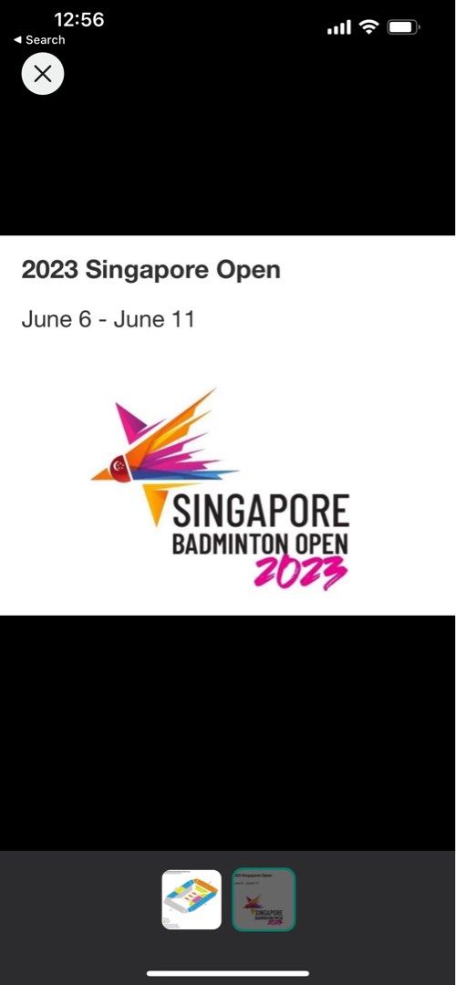 Singapore Badminton open PLATINUM ticket, Tickets & Vouchers, Event