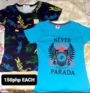 2pcs for 250php HIGH QUALITY Fashionable Round Neck Shirts for Women