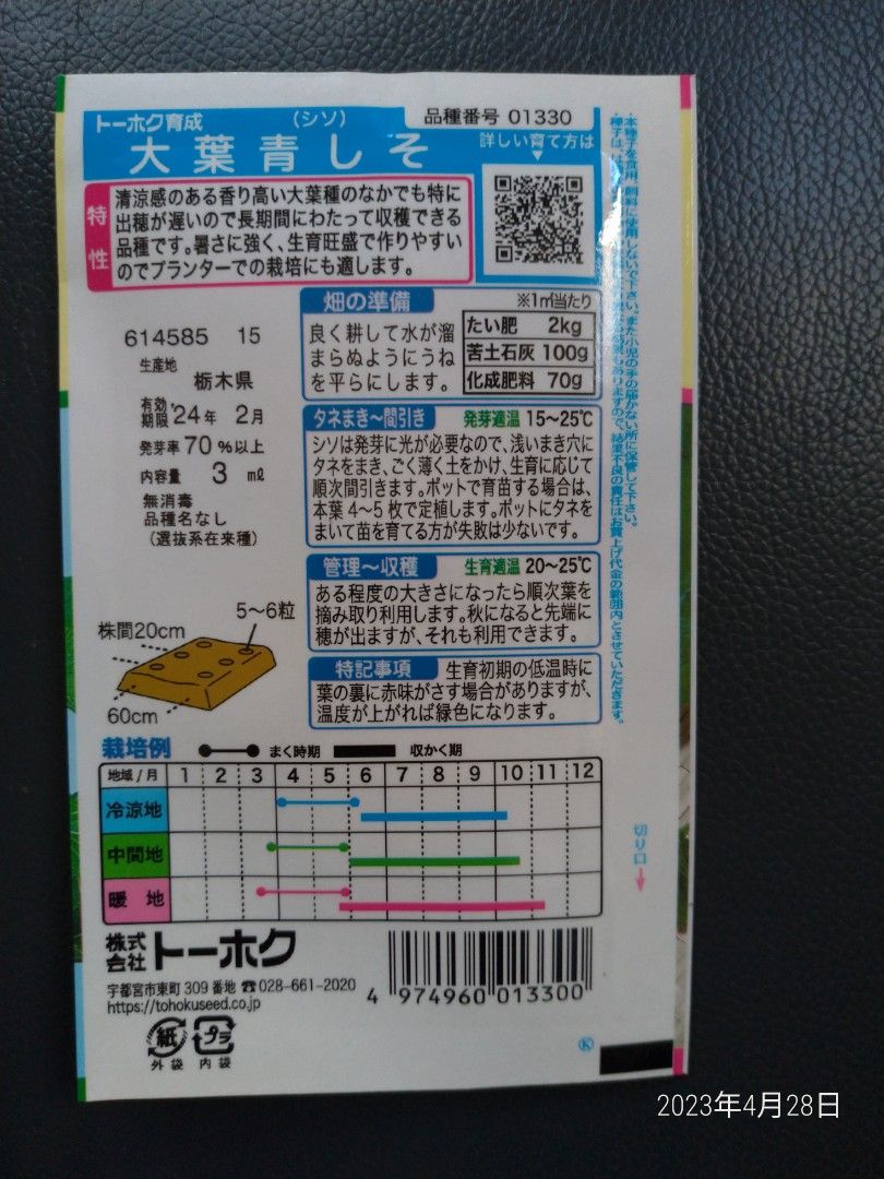 日本青紫蘇種子/園藝/盆栽/有機, 其他, 其他- Carousell