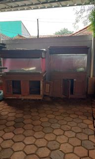 (Kategori: ) berada di . Dikirim oleh halomif (ID iklan 1229741924, Gambar 1). Deskripsi: .
