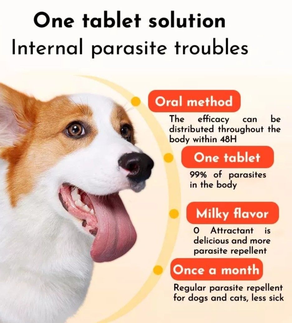 DRONTAL PLUS FLAVOUR TABLET DOG DEWORMER (per tablet) No sticker (Category: Health & Grooming) located in Las Pinas. Submitted by surplushop (Listing ID 1229714284, Image 2). Description: For dogs starting twelve weeks of age until they reach max. weight of 30kg Treats and controls Tapeworms, Roundworms, Hookworms, Whipworms in dogs Beef-flavored tablet for improved palatability Content Praziquantel, pyrantel embonate, febantel Indication Control