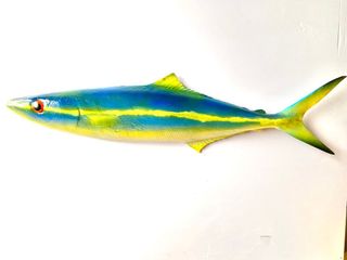 (Category: ) located in . Submitted by fishdecor.sg (Listing ID 1229799496, Image 1). Description: .