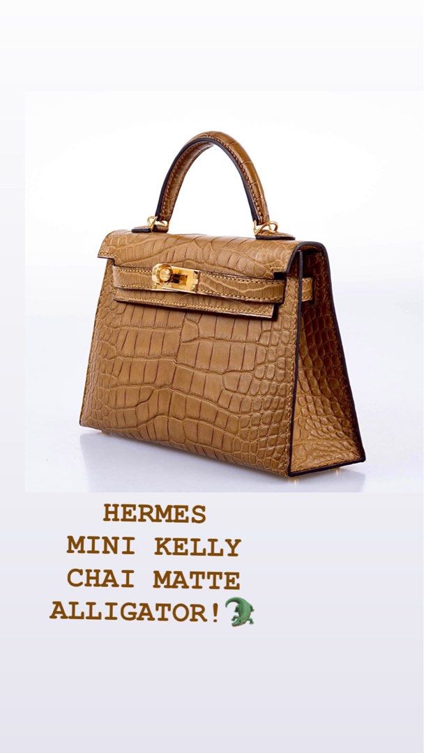 NEW Hermes Kelly 20 Chai Matte Alligator Ghw, Luxury, Bags & Wallets on  Carousell