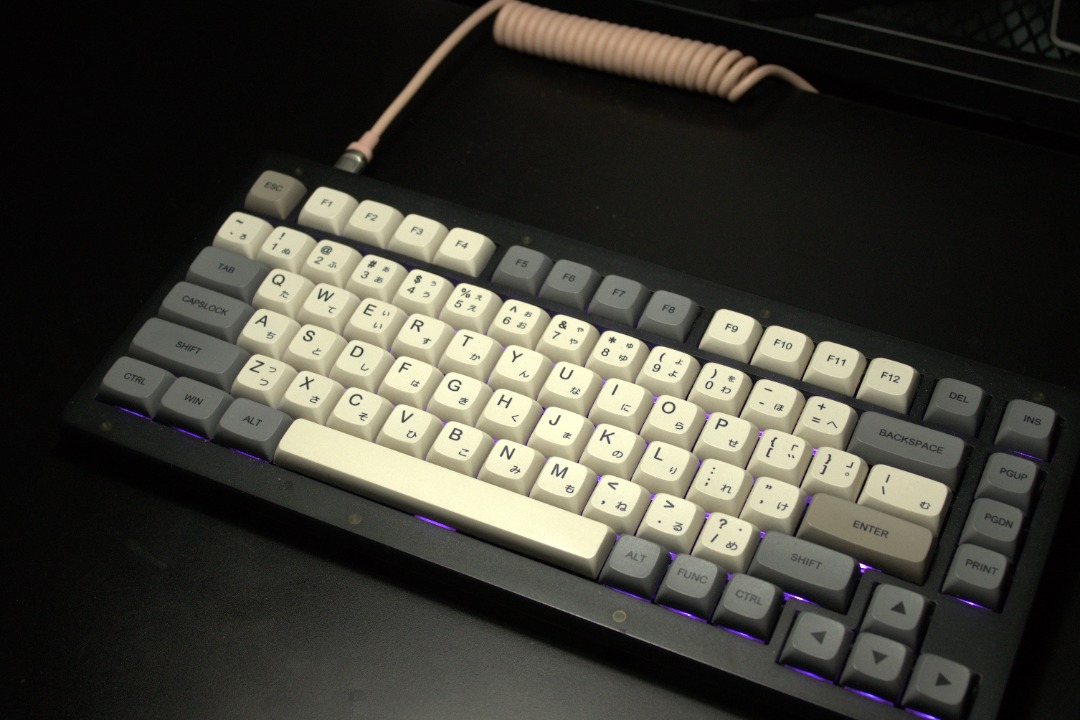 Keychron V1 Modded Custom Mechanical Keyboard (Sound Test in Desc