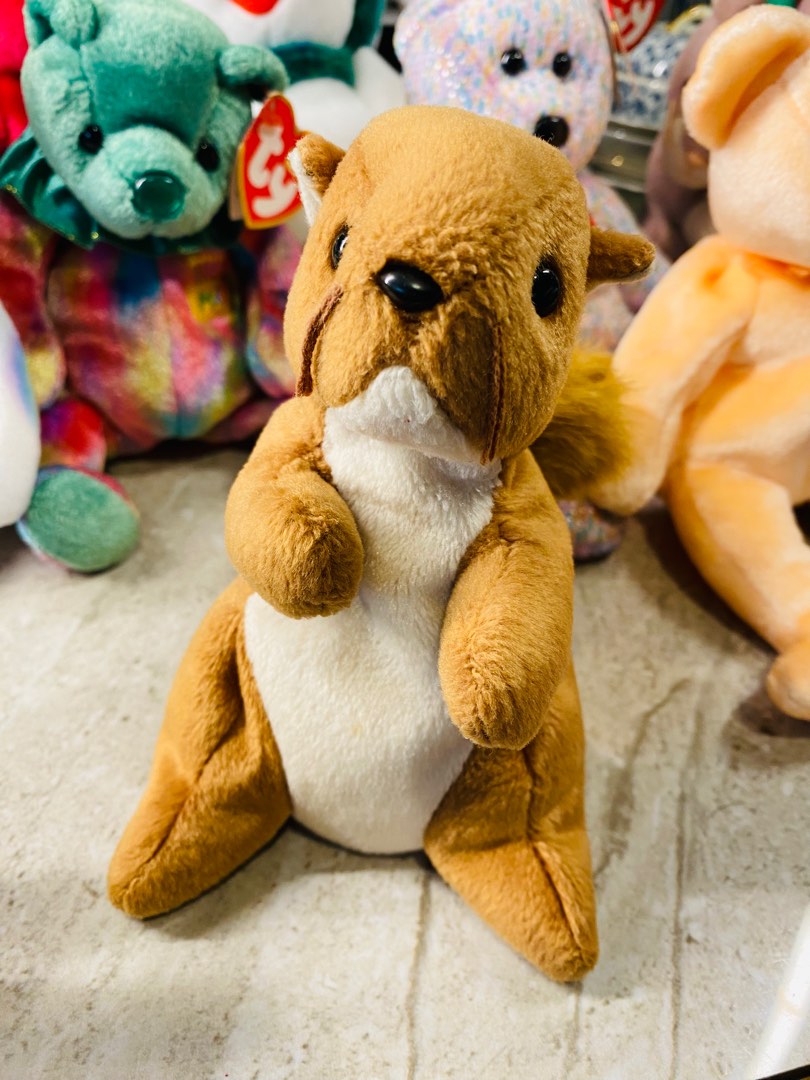 Nuts Beanie Babies Collection, Hobbies & Toys, Memorabilia