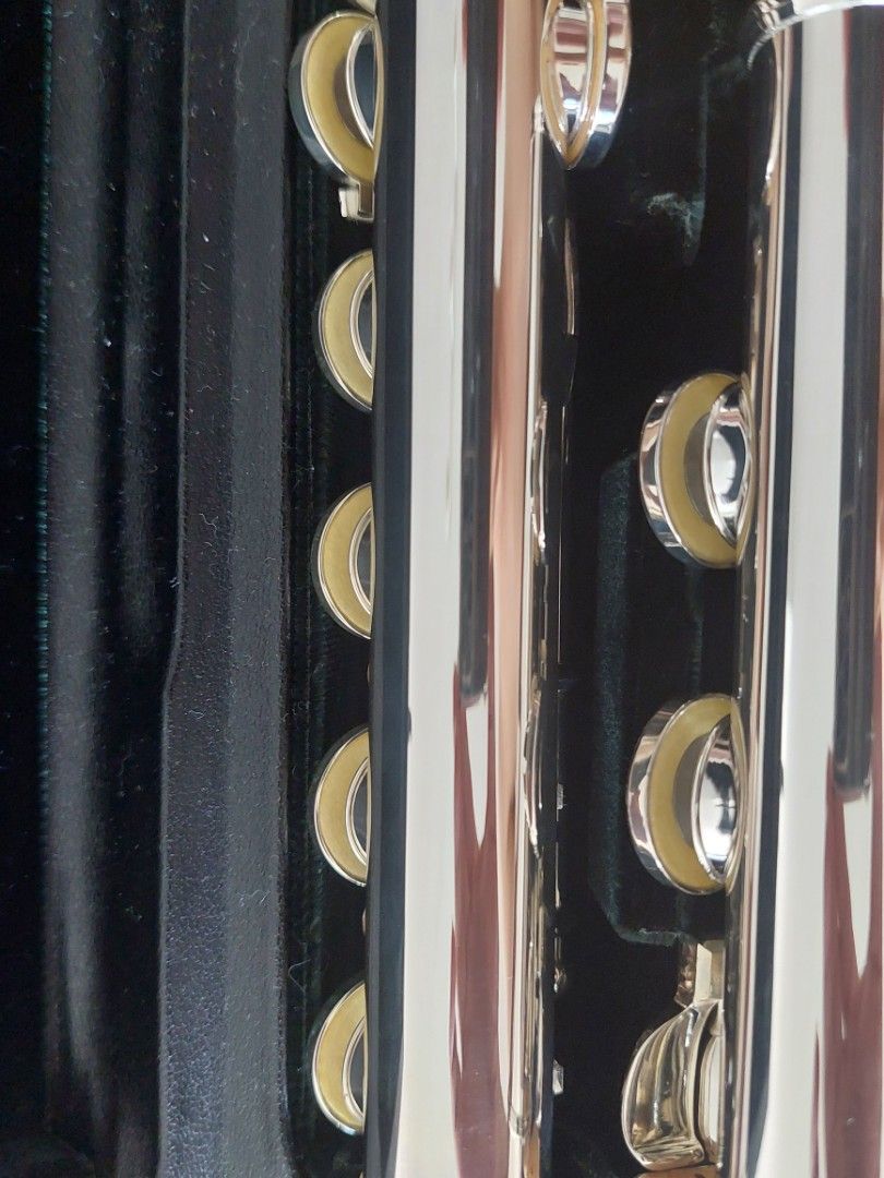 Pearl Elegante Primo Flute, Hobbies & Toys, Music & Media, Musical ...
