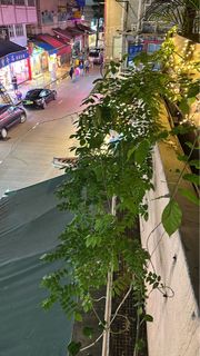 （分類：）位於 。 由 toother19 提交（商品編號 1229717441，圖片 1）。簡介： 。