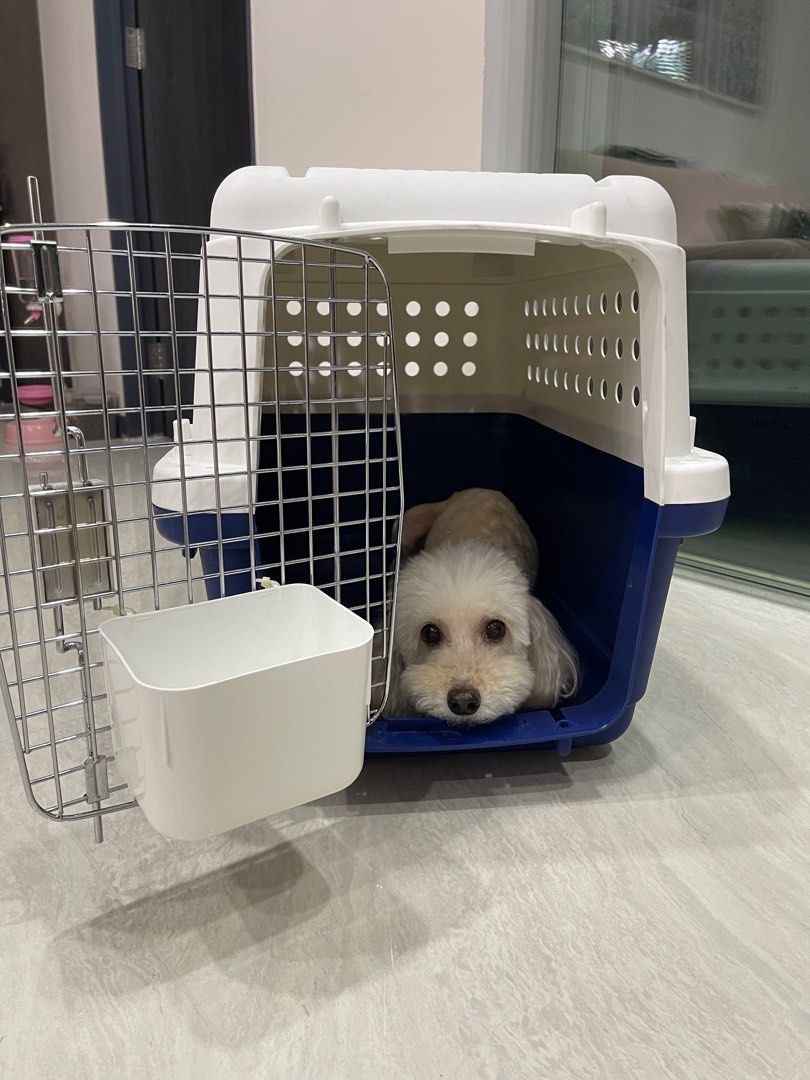 Alaska air clearance pet connect