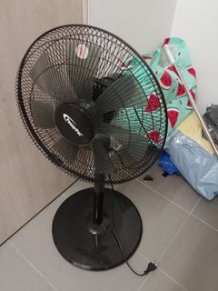 (Category: ) located in . Submitted by kimj021218 (Listing ID 1229757796, Image 1). Description: .