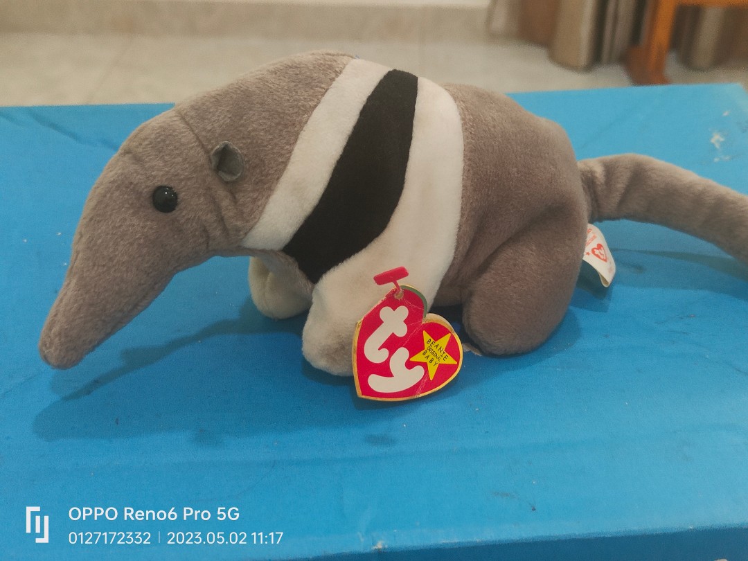 TY beanie baby collection Ants Hobbies Toys Toys Games on