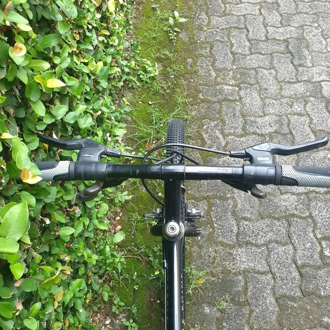 Sepeda Vintage Skykomish Marble Point, Olah Raga, Sepeda di Carousell