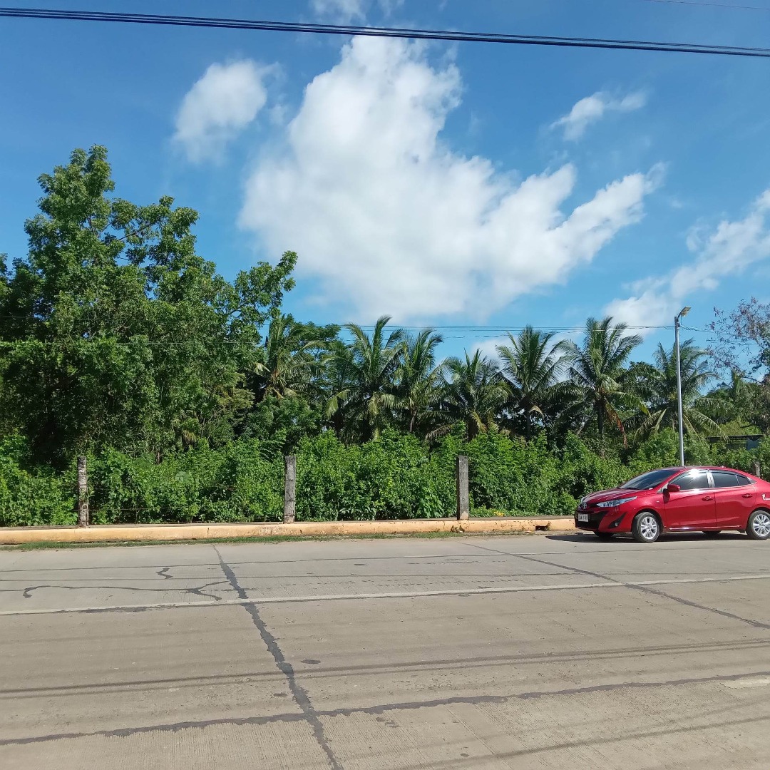 1516 sqm commercial lot for sale in daan bantayan cebu, Property, For