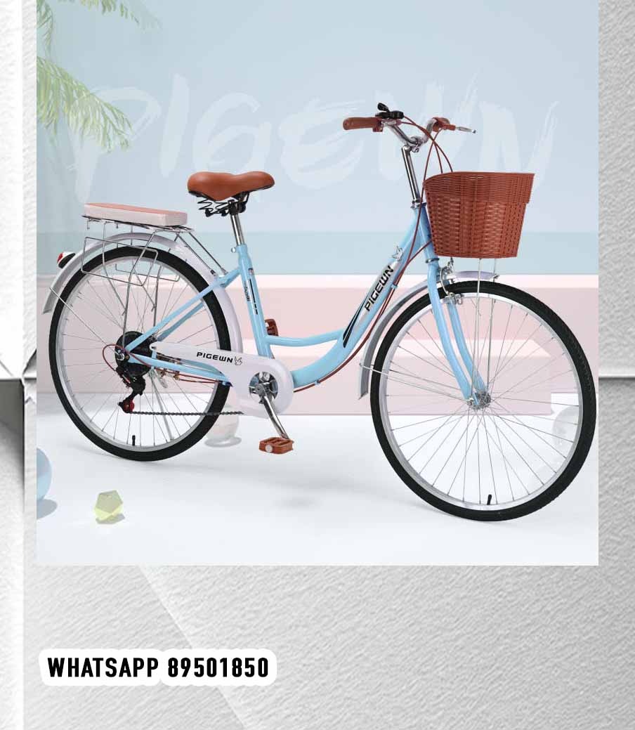 26 inch 6 Speed Blue Pigewn Lady Bike Women Bike City adult male commuter retro bicycle Sports Equipment Bicycles Parts Bicycles on Carousell