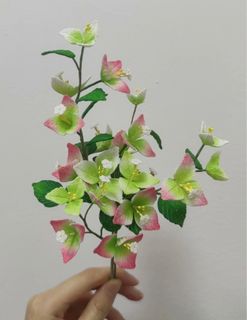 （分類：）位於 。 由 viviantulip 提交（商品編號 1232844444，圖片 1）。簡介： 。