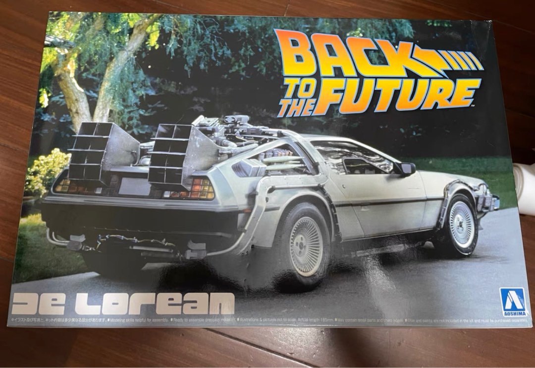 AOSHIMA BACK OF THE FUTURE DELOREAN, Hobbies & Toys, Toys & Games on ...