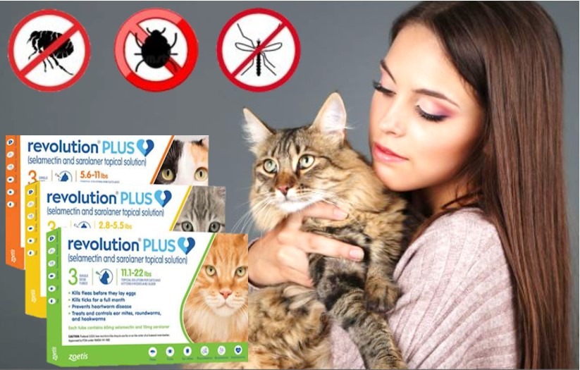 Cat Revolution Plus Anti Tick Flea Preventive Treatment Ear Mites Heartworm Cats, Pet Supplies