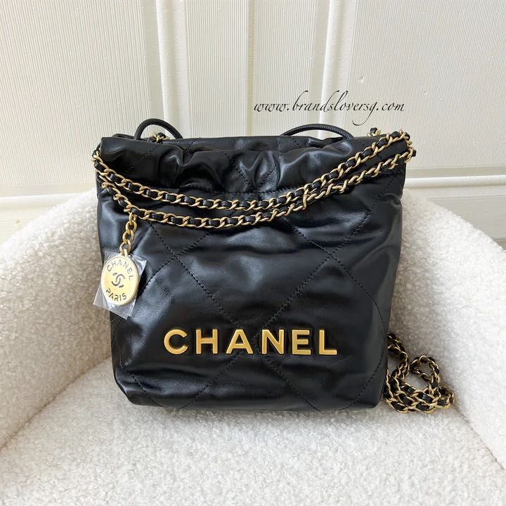 100+ affordable chanel seasonal bag For Sale