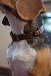 Custom Handmade Leather Dog Collar