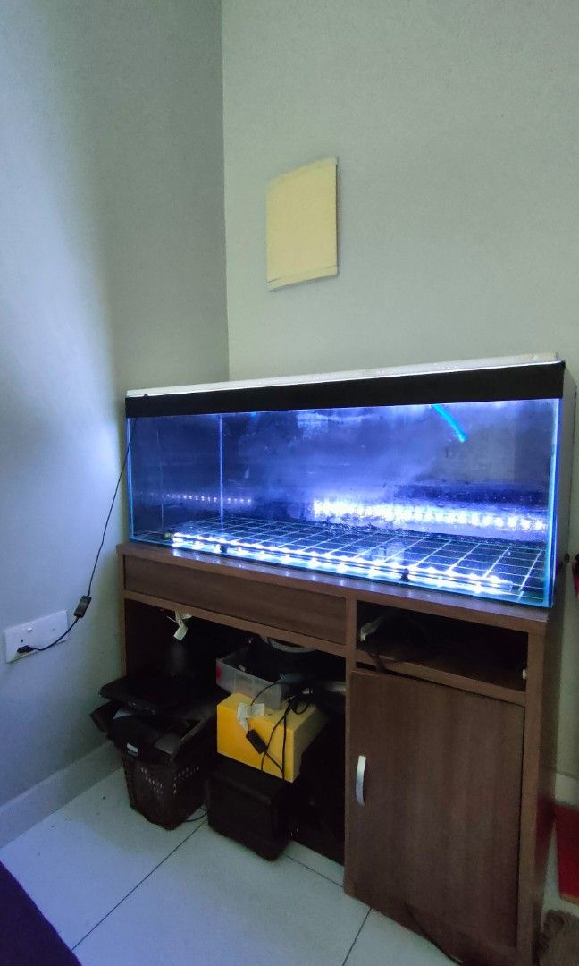 Olx aquarium shop