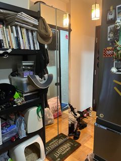 （分類：）位於 。 由 cleverdragon_040994 提交（商品編號 1232997158，圖片 1）。簡介： 。