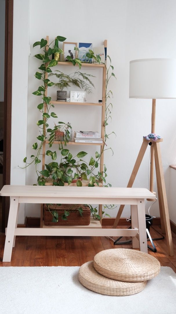 QYOP: IKEA Norraker Bench (Birch), Furniture Home Living