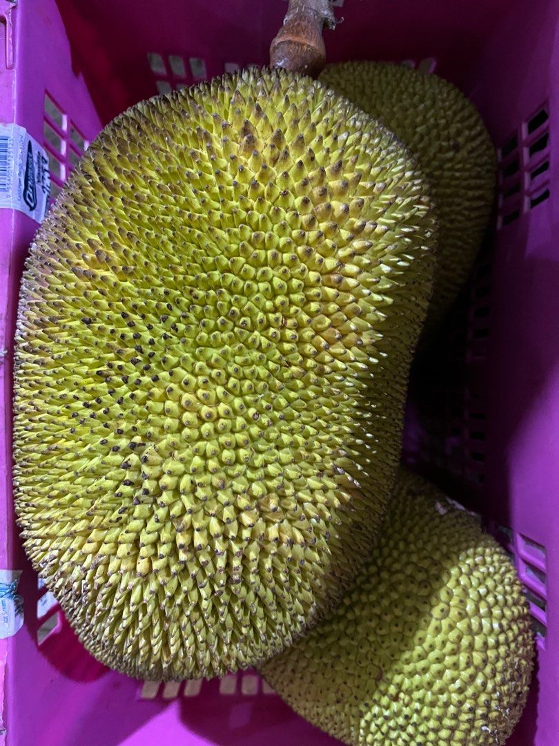 Malaysia Honey Jackfruit per kg, Food & Drinks, Other Food & Drinks on