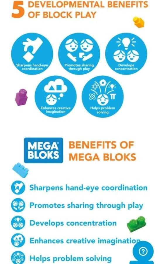 Mega Bloks® Big Building Bag - 80 Pieces