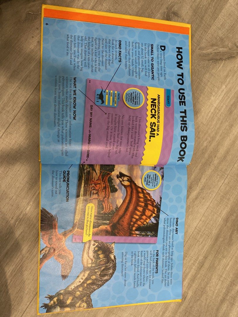 National Geographic Book on Dinosaurs, Hobbies & Toys, Books ...