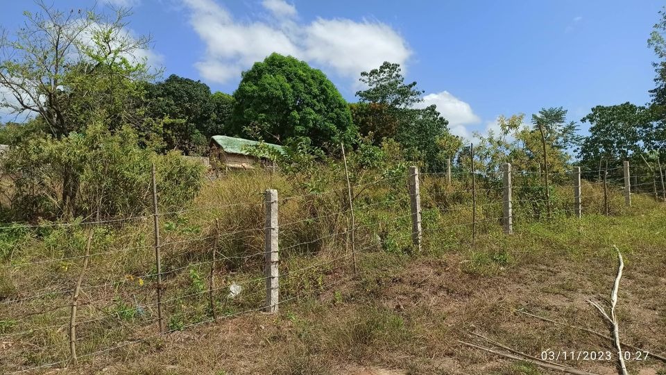 Property for sale Morong rizal, Property, For Sale, Lot on Carousell