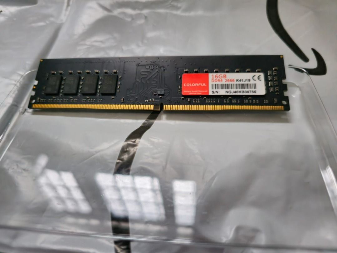 Ram