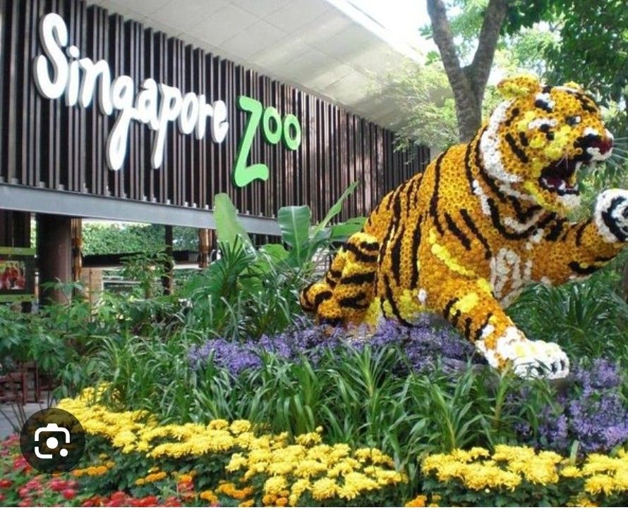 Singapore Zoo ticket 2 adult tix available, Tickets & Vouchers, Local