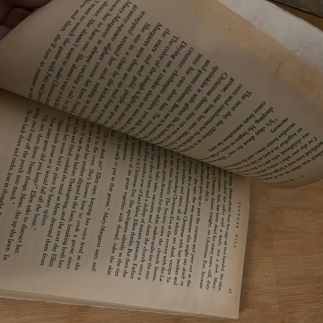 Vinegar Hill by A. Ansay, Hobbies & Toys, Books & Magazines