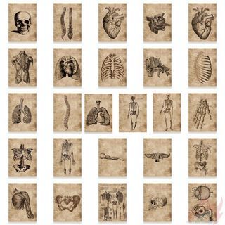 🔥55Pcs/Set  Retro Human Anatomy Art Series 01 Stickers  Waterproof Fashion Decals Doodle Stickers 🔥 (BRAND NEW / READY STOCKS)