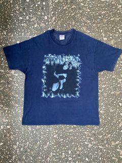 90’s Tina Turner Wildest Dream Tour Tee
