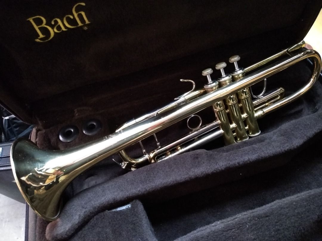 專業之選Vincent Bach Stradivarius ML 37G Bb Trumpet w/ Gold Brass