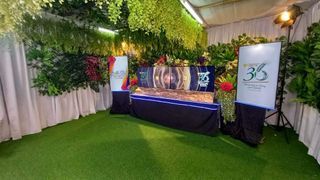 Artificial Grass Turf and Carpet
