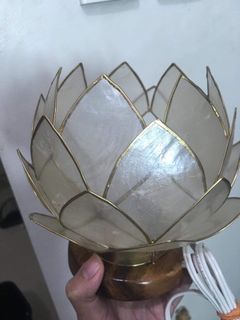 Capiz Shell cabbage lamp