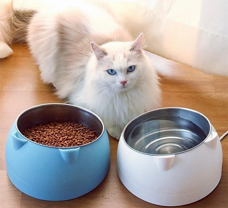 Elevated cat box online