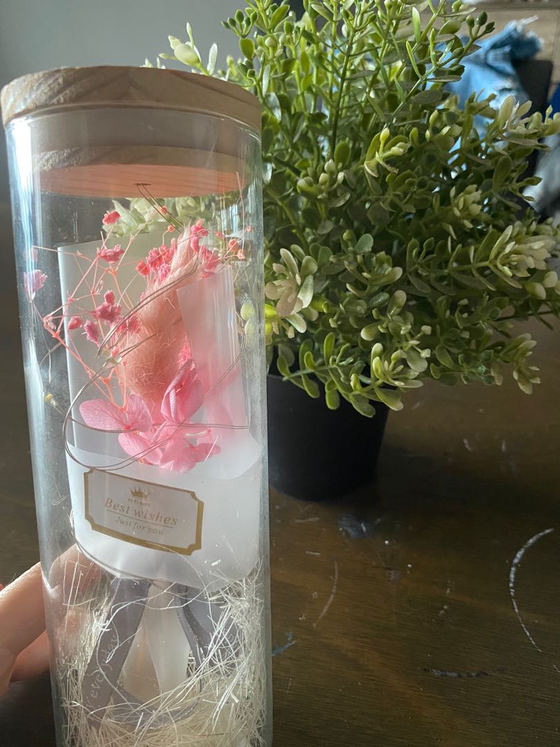 Glass flower display , Hobbies & Toys, Stationery & Craft, Flowers